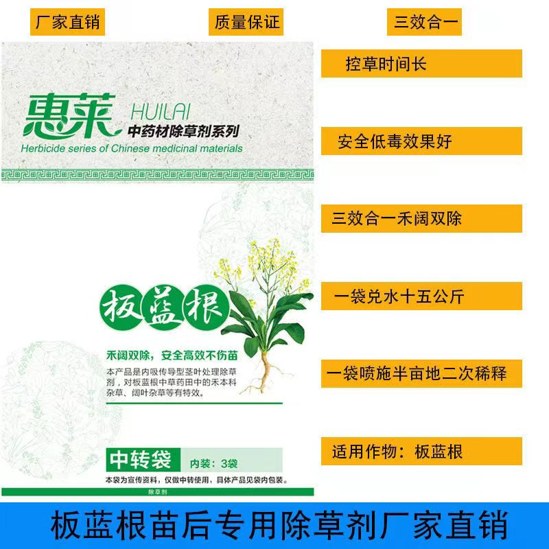 板藍根1