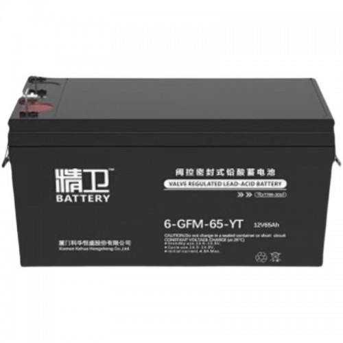 科·華精衛(wèi)蓄電池6-GFM-65-YT免維護(hù)12V65AH