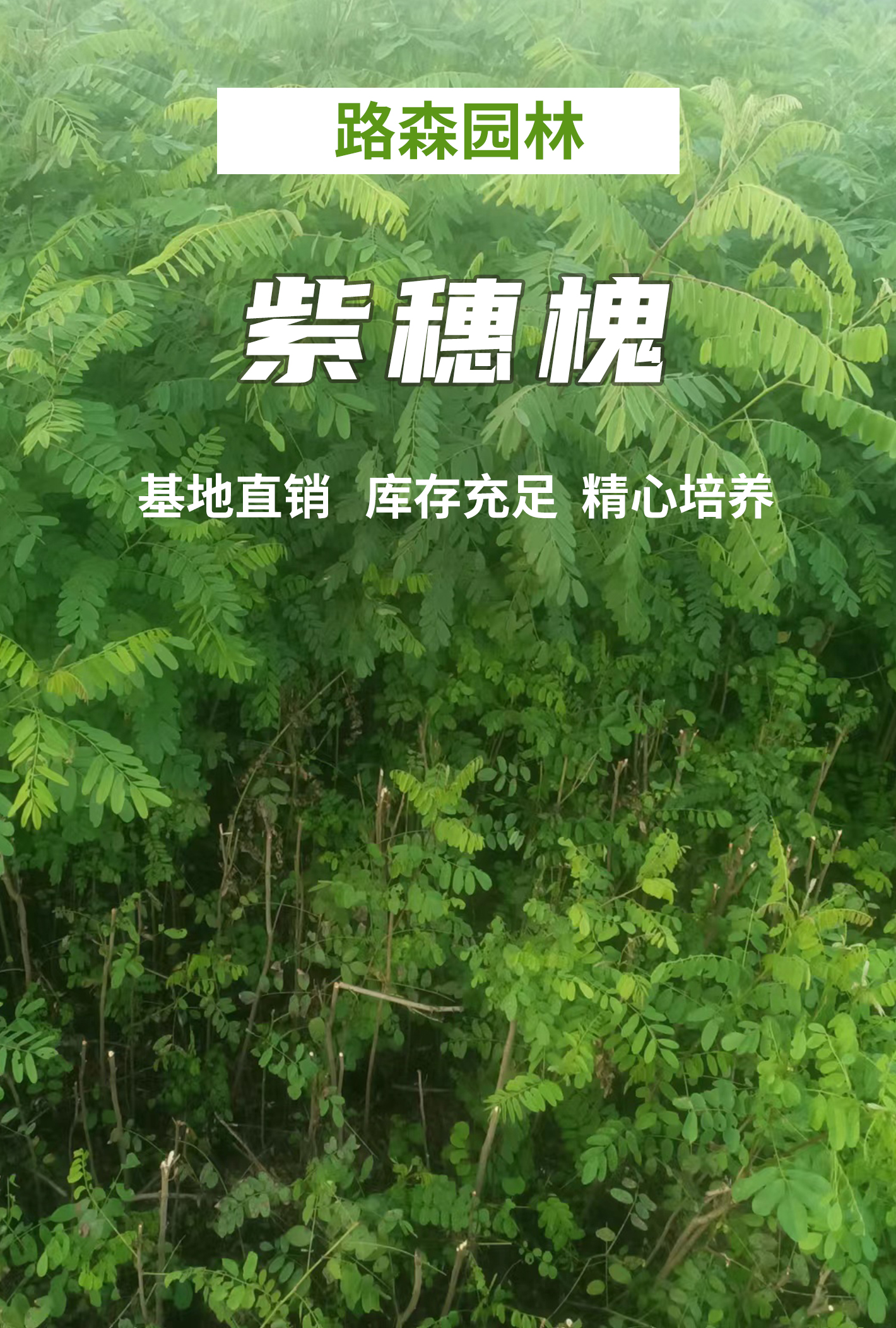 橙色可編輯顏色_01_01