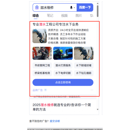 排名快照 (4)
